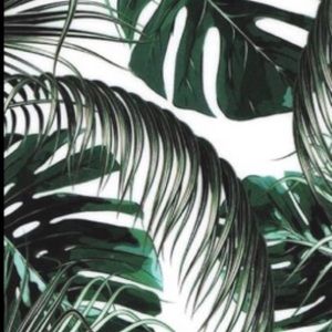 Meet your Posher, Lizzy